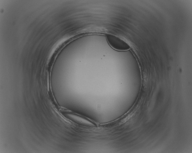 X0000073461123200608251725