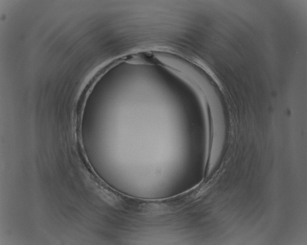 X0000073461124200608251725