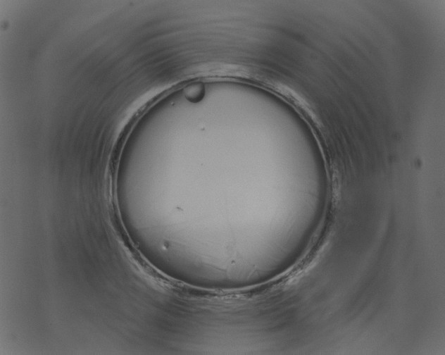 X0000073461125200608251725