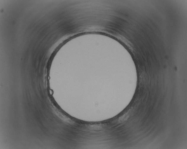 X0000073461126200608251725