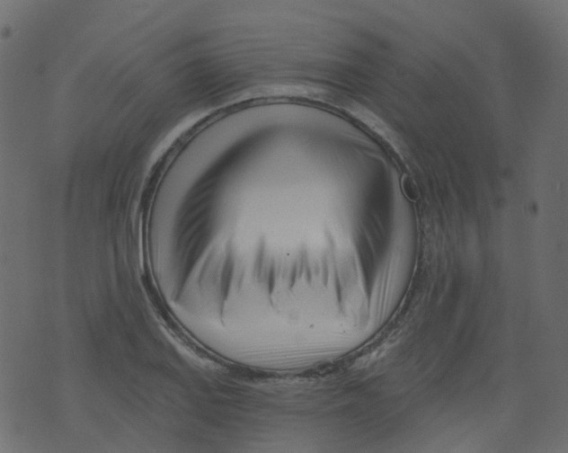 X0000073461127200608251725