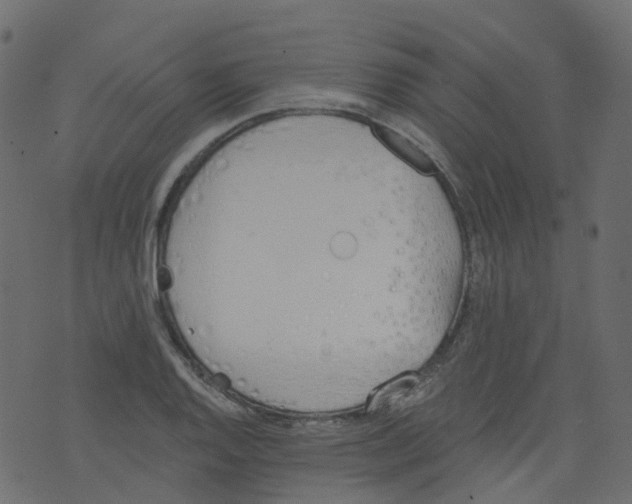 X0000073461128200608251725