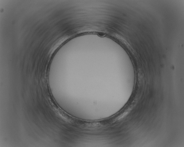 X0000073461129200608251725