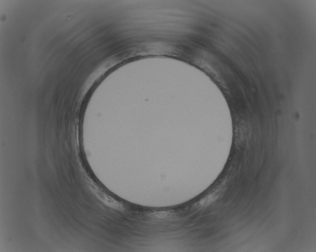 X0000073461130200608251725