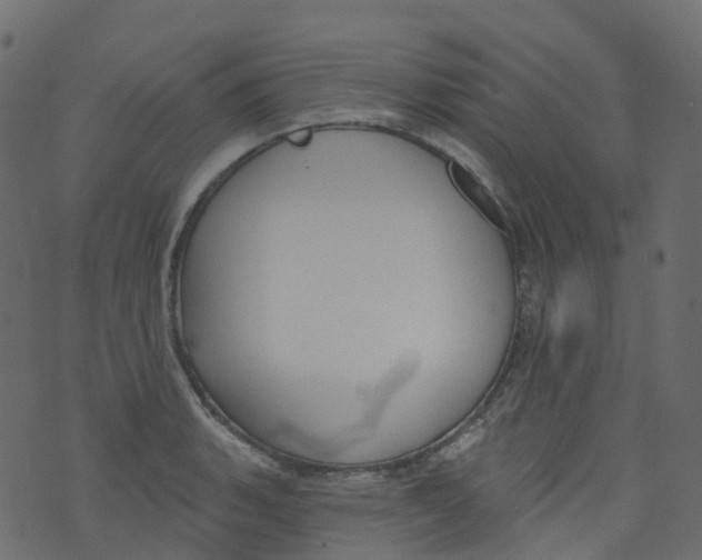 X0000073461135200608251725