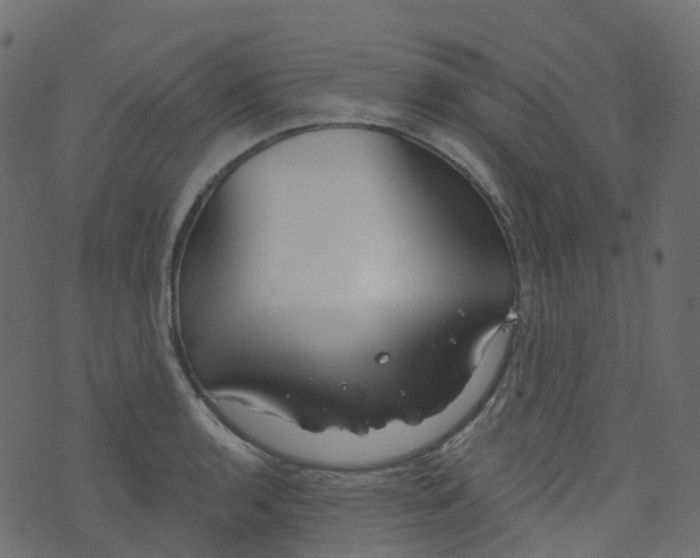 X0000073461136200608251725