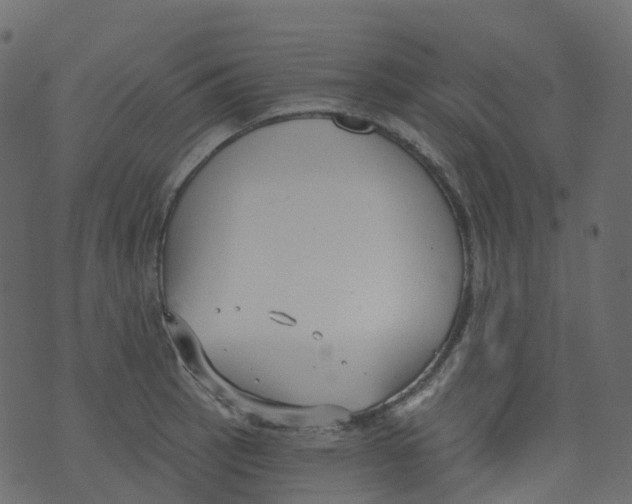 X0000073461137200608251725