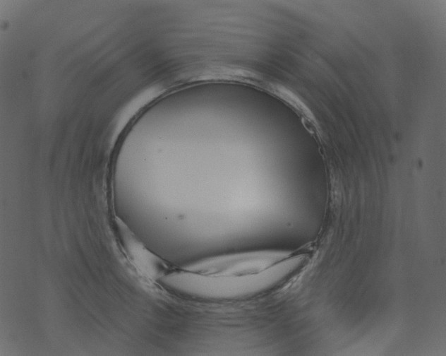 X0000073461138200608251725