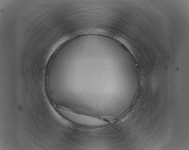 X0000073461139200608251725