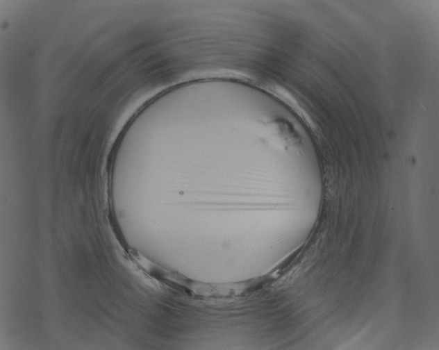 X0000073461140200608251725