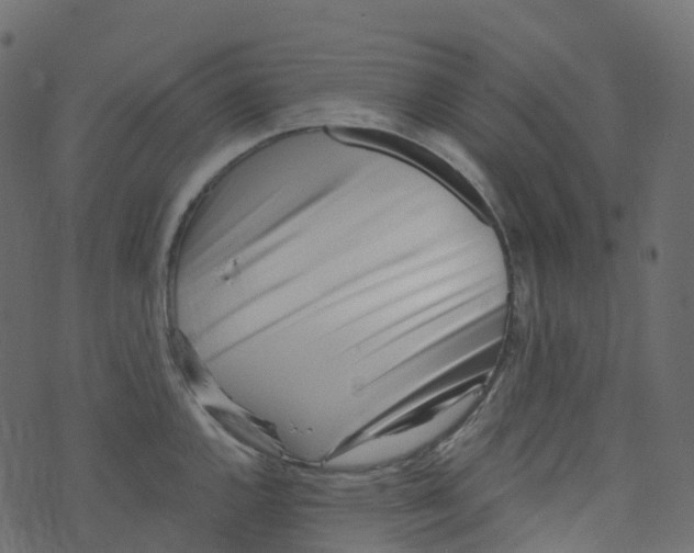 X0000073461144200608251725