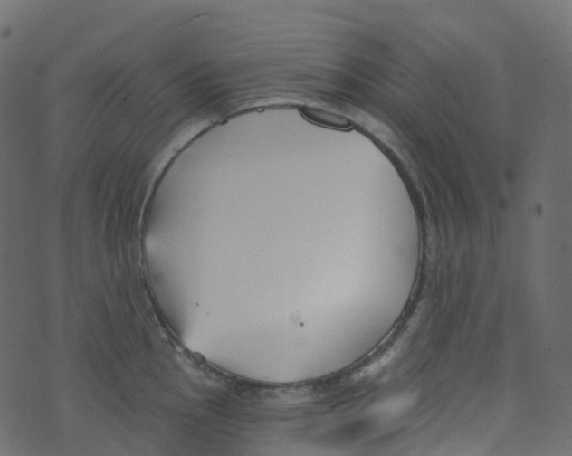 X0000073461145200608251725