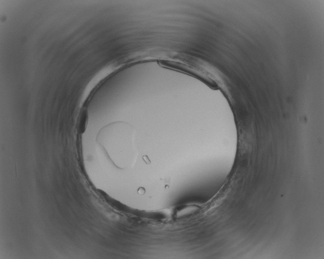 X0000073461146200608251725