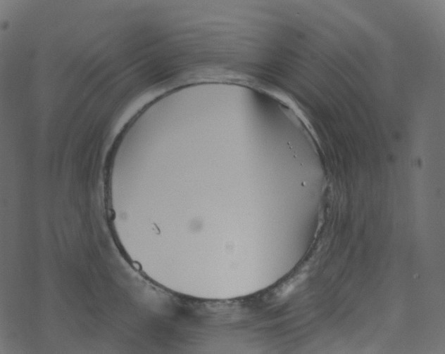 X0000073461147200608251725