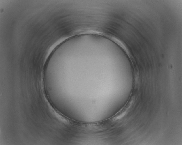 X0000073461149200608251725