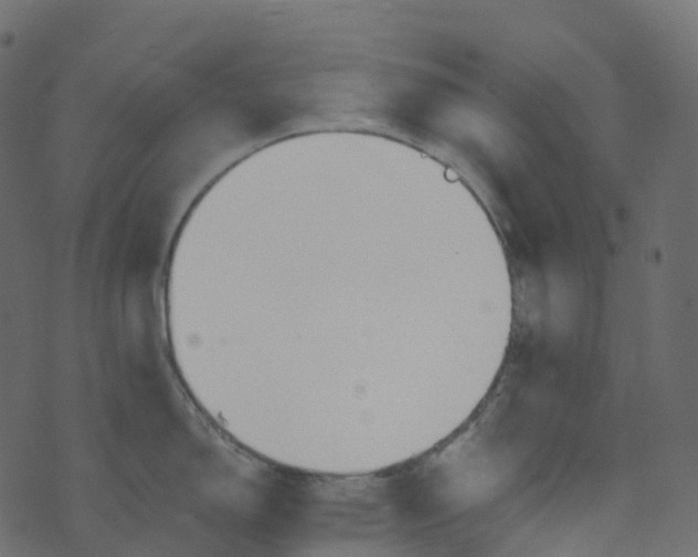 X0000073461150200608251725