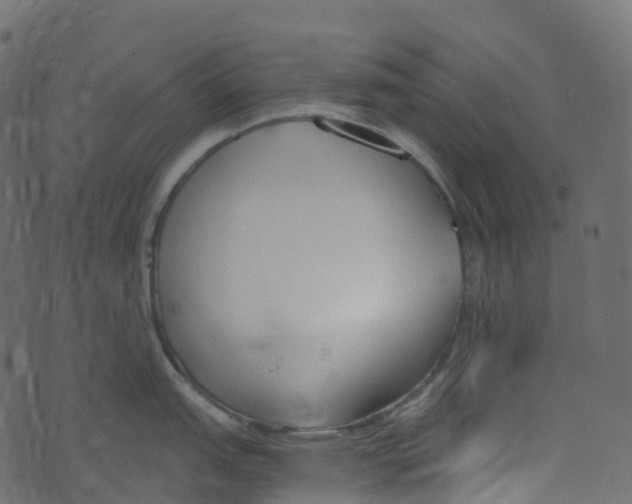 X0000073461151200608251725