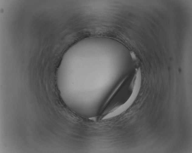 X0000073461153200608251724