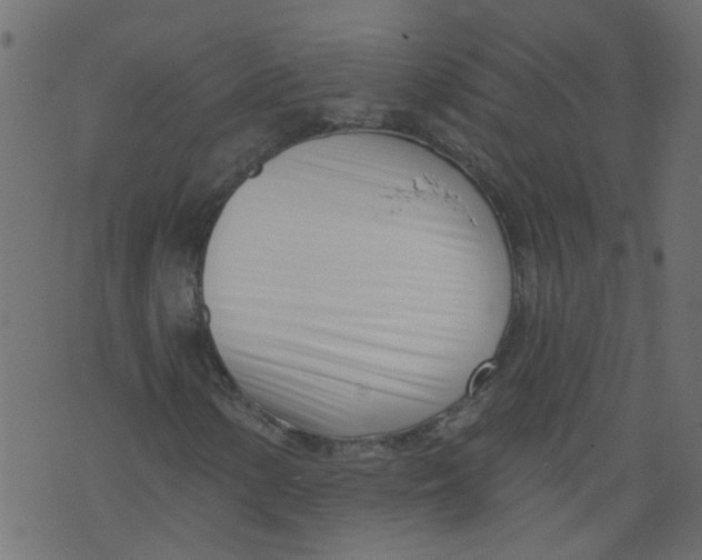 X0000073461154200608251724