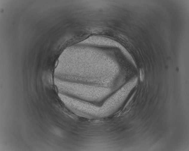 X0000073461155200608251724