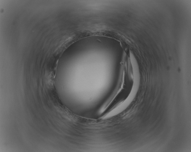 X0000073461156200608251724