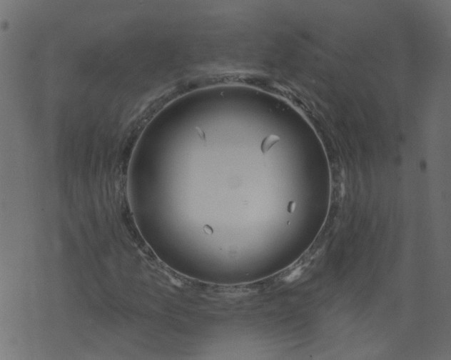 X0000073461157200608251724