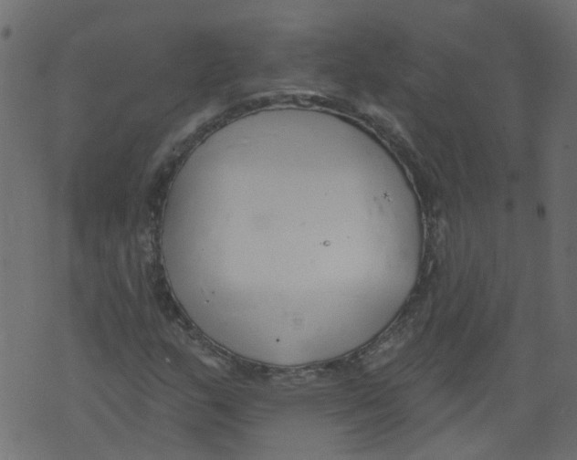 X0000073461159200608251724