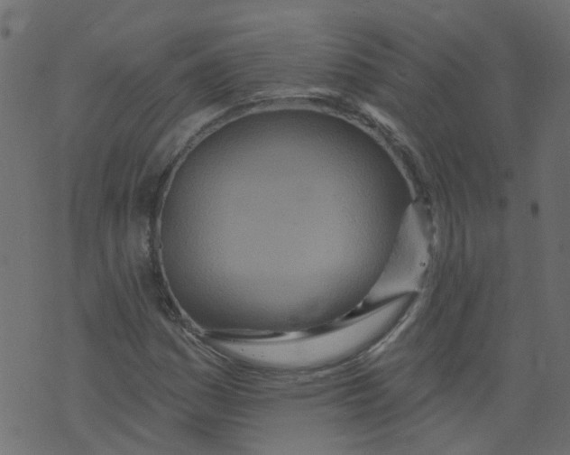 X0000073461161200608251724