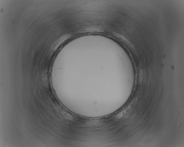 X0000073461162200608251724