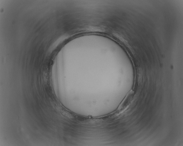 X0000073461163200608251724