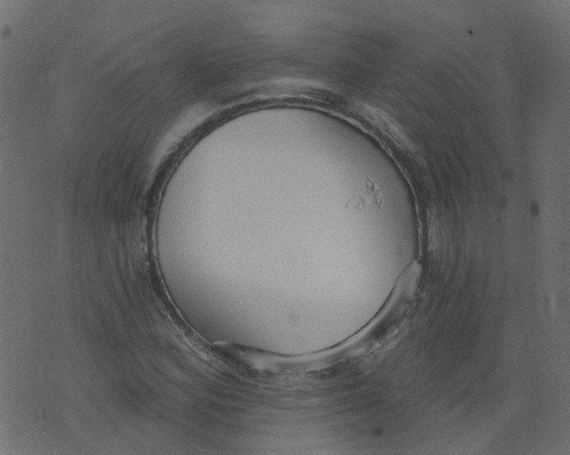 X0000073461164200608251724