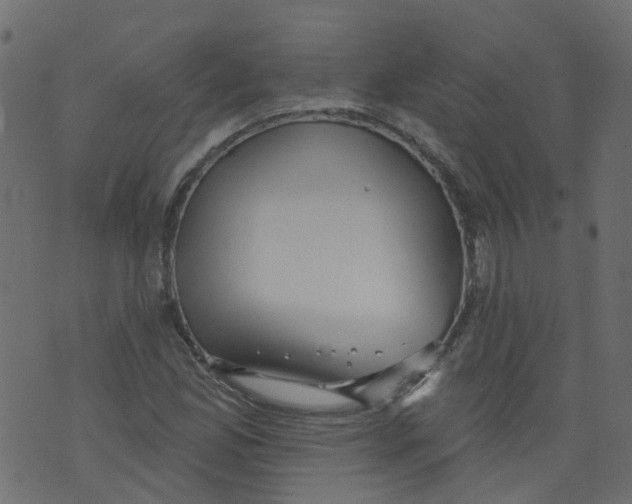 X0000073461165200608251724