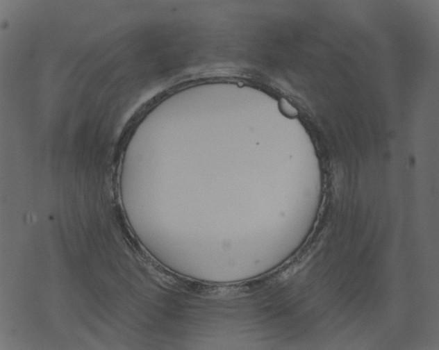 X0000073461166200608251724