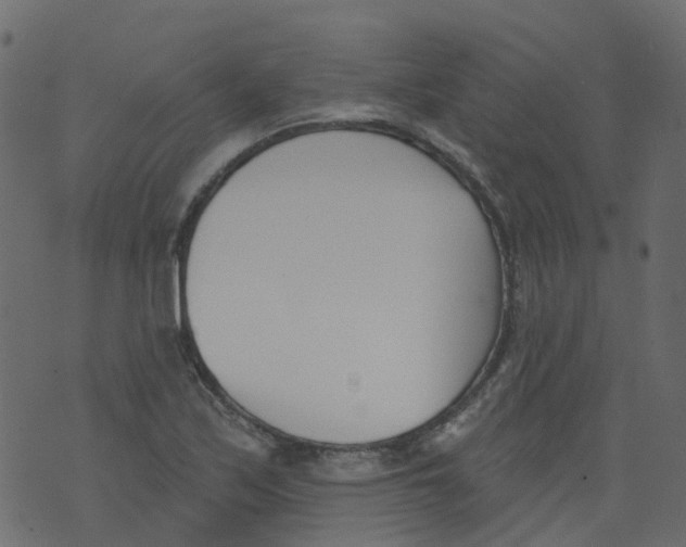 X0000073461171200608251724