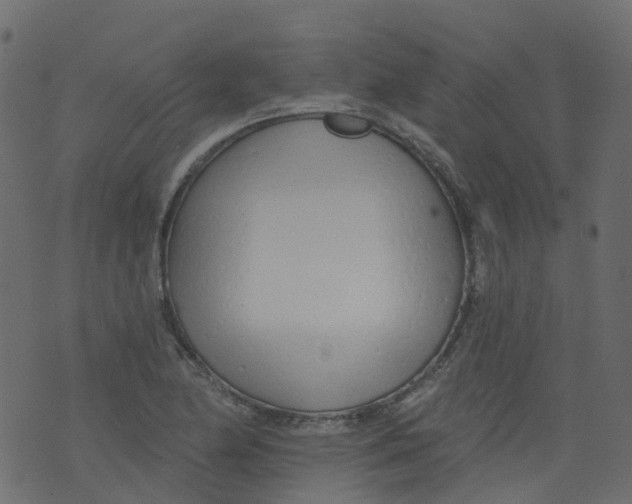 X0000073461174200608251724