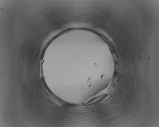 X0000073461175200608251724