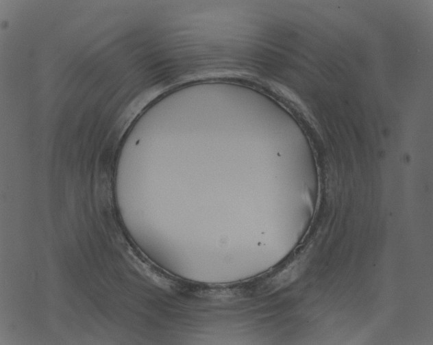 X0000073461177200608251724