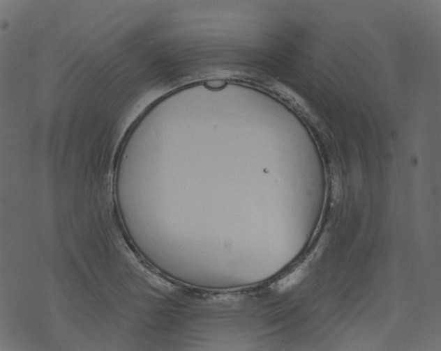 X0000073461178200608251724