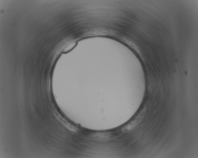 X0000073461179200608251724