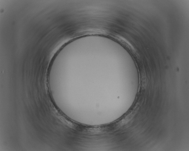 X0000073461182200608251724