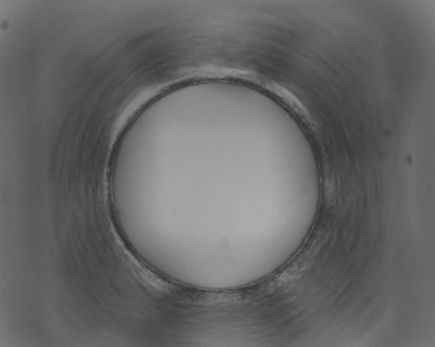 X0000073461183200608251724