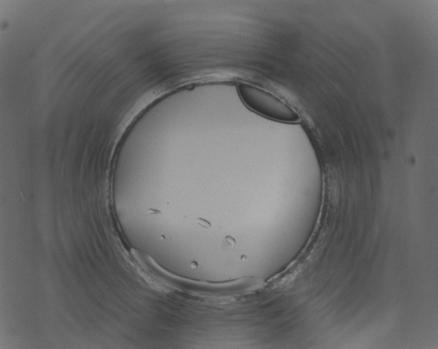 X0000073461186200608251724