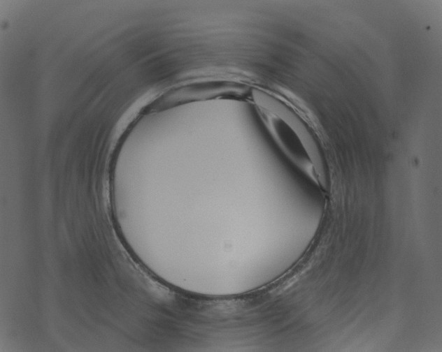 X0000073461188200608251724