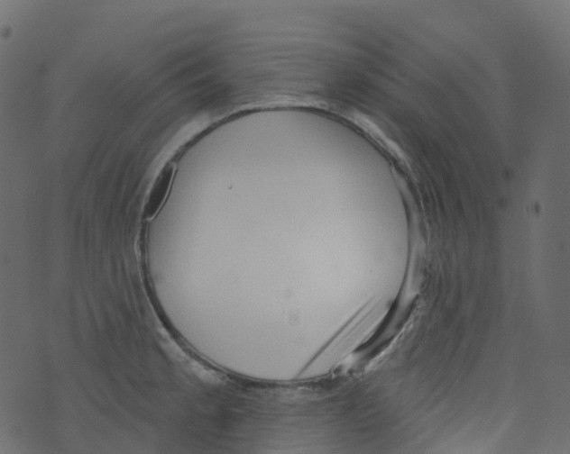 X0000073461189200608251724