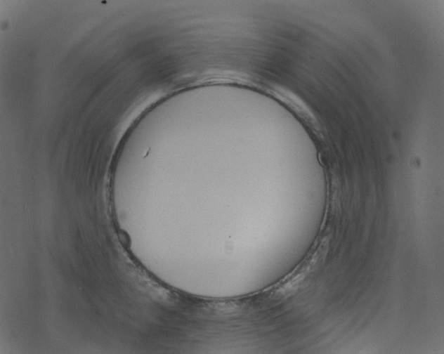 X0000073461190200608251724