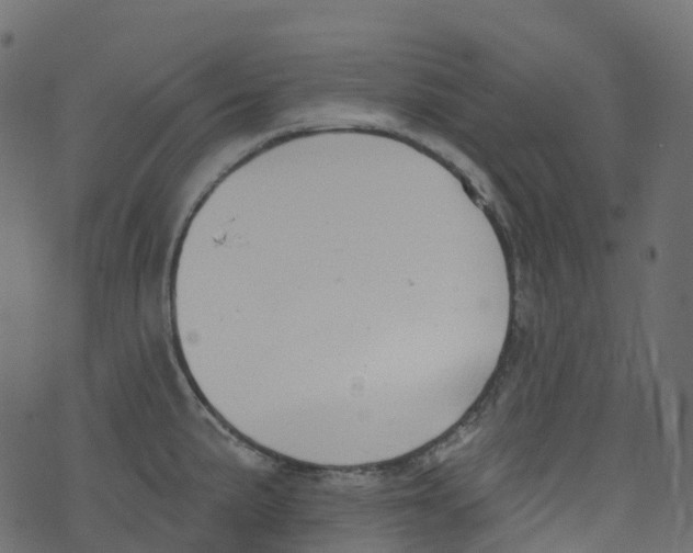 X0000073461191200608251724