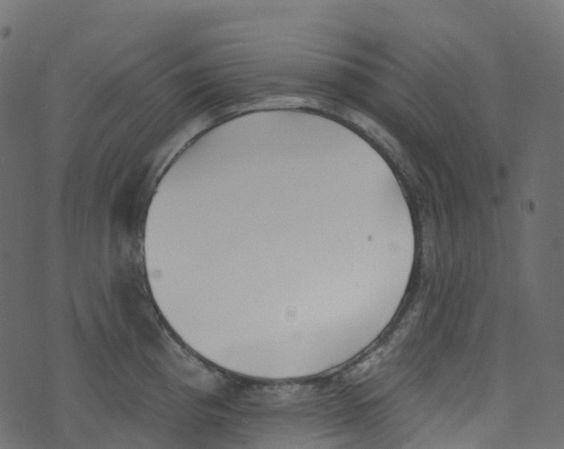 X0000073461193200608251724