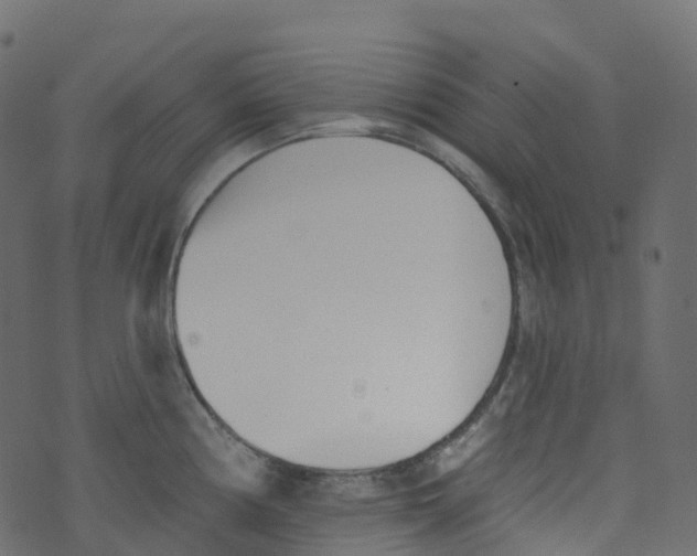 X0000073461194200608251724