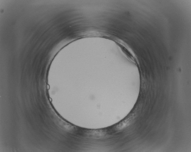 X0000073461195200608251724