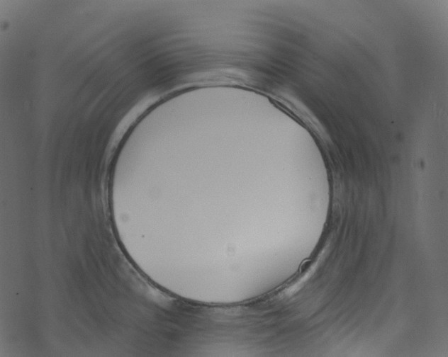 X0000073461196200608251724